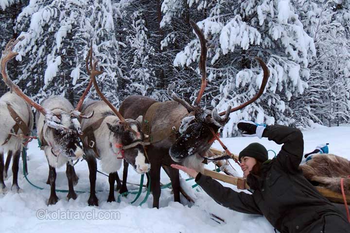рождество северное сияние кольский полуостров русская лапландия краснощелье кола трэвел