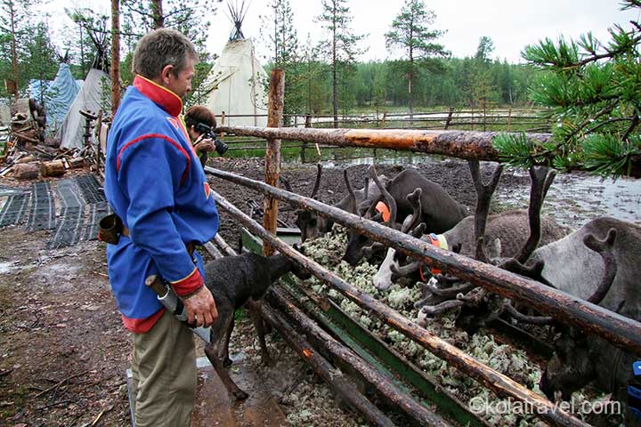 holiday route tour camper campers caravan caravanning camping campings northwest russia karelia kola peninsula murmansk region russian lapland