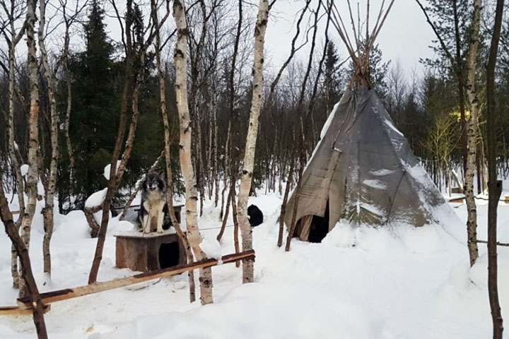 kola peninsula saami russian lapland murmansk lovozero day trip tour reindeer safari husky