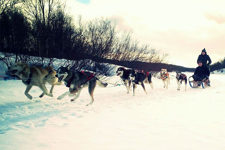 kola peninsula, russian lapland, russia, lapland, murmansk, lovozero, husky safari, husky, safari, kola travel, kola, travel