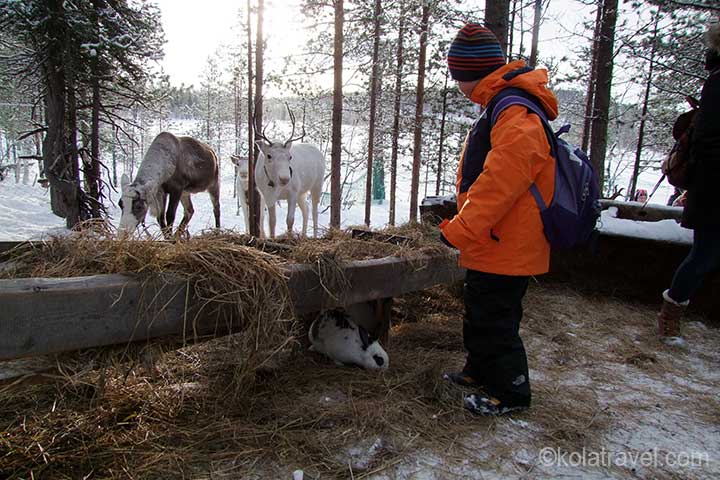 holiday route tour camper campers caravan caravanning camping campings northwest russia karelia kola peninsula murmansk region russian lapland
