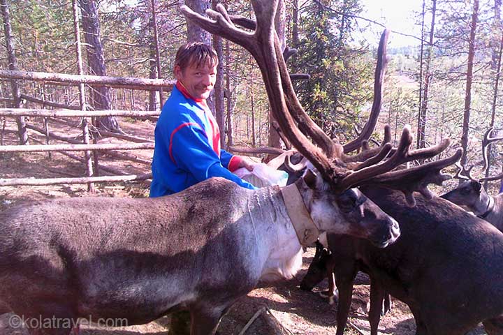 кола трэвел,Кандалакша,Лабиринт Вавилон,Терский район,Белое море,аметистовый рудник,Тоня Тетрина,Умба,поморов,Музей Петроглифов,мастерская Аметистовый Берег,рыбалка на горбушу,Варзуга,церковь Успения Пресвятой Богородицы,Кузомень,дикие лошади,россия,кольский полуостров,русская лапландия,мурманская область,заполярье,лето,отпуск,тур,походы,экскурсии,баренцево море,мурманск