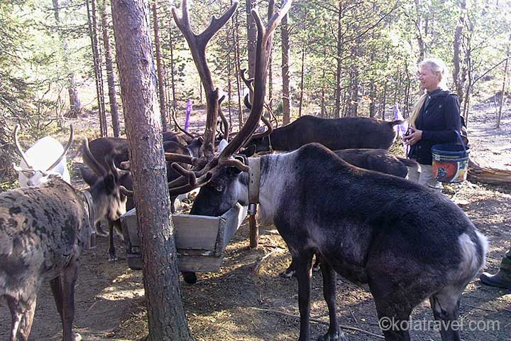 kola peninsula monchegorsk imandra lake yachting excursion russian lapland